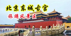 啊啊好爽鸡巴好长视频中国北京-东城古宫旅游风景区